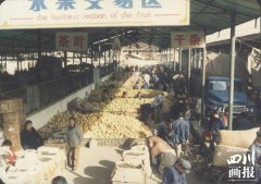 成都大成市场女性服装批发(成都女装批发市场)