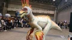 怪物猎人女性服装(怪物猎人女性服装搭配)