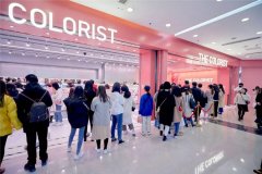 调色师化妆品牌子排行榜(调色师化妆品牌子排行榜)