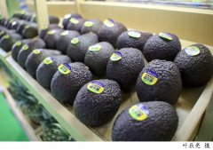 牛油果怎么吃才减肥(牛油果怎么吃减肥餐)