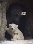 女性服刑人员服装(女性服刑人员服装标准)