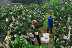 丹棱化妆品牌排行榜(丹麦化妆品牌排行榜)