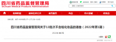 南充化妆品排行榜品牌专柜(南充的品牌)