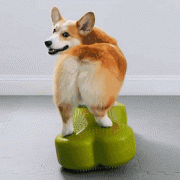 翘臀的方法(练出翘臀的方法)