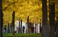 长春保湿化妆水品牌排行榜(保湿水哪个牌子好)