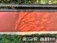 女性服装墙弄成什么色(服装店的墙用什么色好看)