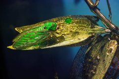 化妆品高端品牌贵排行榜(贵化妆品排行榜前十名品牌)