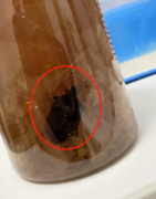 广东保湿化妆水品牌排行榜(广东保湿化妆水品牌排行榜前十名)