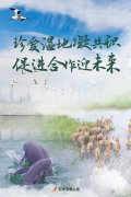辽宁保湿化妆水品牌排行榜(辽宁保湿化妆水品牌排行榜前十)