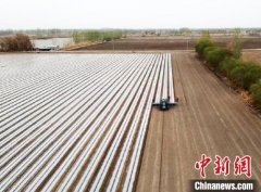 原棉籽化妆棉品牌排行榜(好的化妆棉是什么品牌)