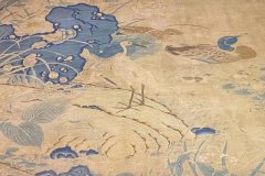 宝藏女性服装(中国宝藏女孩)