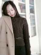 中年人女性服装毛衣有领(中年人穿的毛衣)