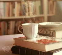 无翼鸟女性服装公司