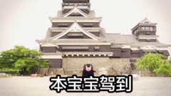 化妆棉的品牌排行榜大全(化妆棉的品牌排行榜大全)