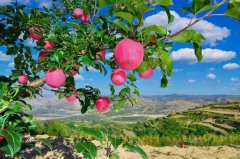 甘肃美容化妆品品牌排行榜(甘肃知名品牌)