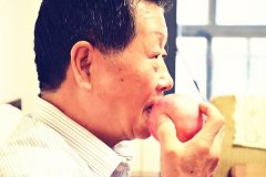 喝了减肥茶后吃了个苹果怎么办(苹果减肥法可以喝茶吗)