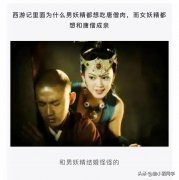 女性服装内裤男人可以穿吗(女人穿男士内裤可以不)