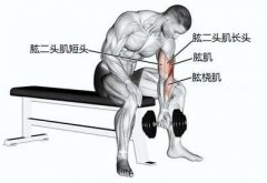 举杠铃怎么只练小臂(举杠铃怎么只练小臂肌肉)