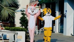 主题蛋糕化妆品牌排行榜(人气蛋糕品牌)