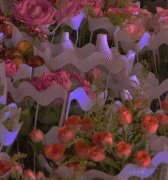 女性服装文案朋友圈幼儿园(适合女服装店发朋友圈的文案)