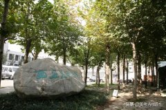 临潼化妆品牌排行榜(临潼化妆店)