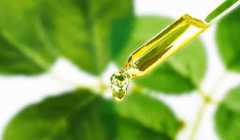 油性肌肤化妆品牌排行榜(适合油性皮肤的化妆品牌)