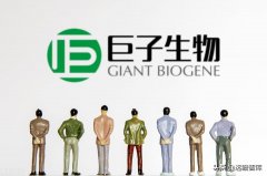 长春哪有品牌化妆品排行榜(长春哪个商场化妆品品牌全)