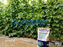 水溶性颜料化妆品牌排行榜(水溶性颜料化妆品牌排行榜前十名)