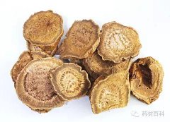 胃腩怎么快速瘦下来(胃腩怎么减肥)