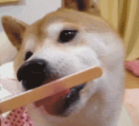 天然植物减肥方法(天然植物减肥方法)