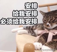 化妆品秋季补水排行榜品牌(秋冬补水护肤品排行)