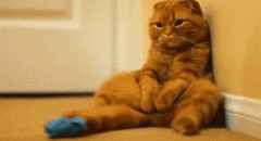 瘦腰的快方法 靠墙站