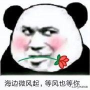 坐游艇拍照服装图片女性(游艇拍照穿什么衣服)