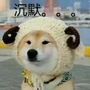 上海中年女性服装店铺(上海中老年服装专卖店怎么样)