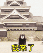 化妆刷排行榜推荐平价品牌(好用的平价化妆刷排行)