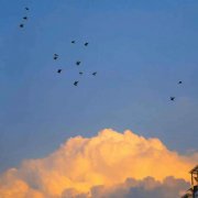 女性穿搭服装文案简短英语(服装文案英文短句)