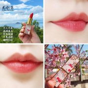 好的口红化妆品牌排行榜(好的口红化妆品牌排行榜)