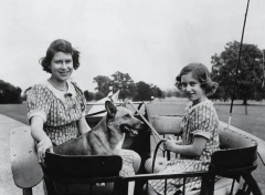 英国男性服装变化图女性(英国20世纪女性服装图片)