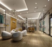 女性高端服装店装修(高级女装店面装修)