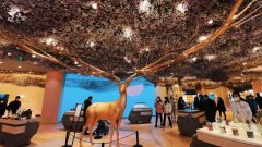 化妆品牌子女鞋品牌排行榜(女孩鞋子品牌排行)