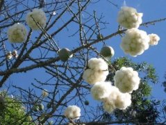 上海女性创业女生服装品牌(上海服装女品牌有哪些)