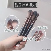 蝶语诗化妆刷排行榜品牌(体温高但觉得冷)