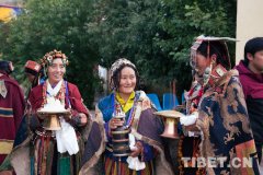 阿里普兰女性服装(阿里普兰服饰)