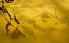 清朝女性服装是汉服嘛知乎(清汉女为什么不是汉服)