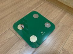 肌肉含量怎么算(肌肉含量怎么算出来的)