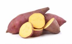 天天吃玉米会怎么样(整天吃玉米)