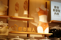 女性服装产业结构