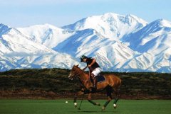 英国女性工人运动服装品牌(英国女性工人运动服装品牌排行榜)