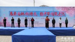 政协会议女性服装(政协会女委员穿什么衣服)