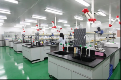 大品牌化妆品加工排行榜(化妆品生产地)